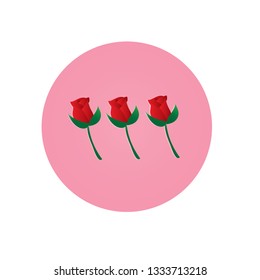 easy draw the Red Rose, vector