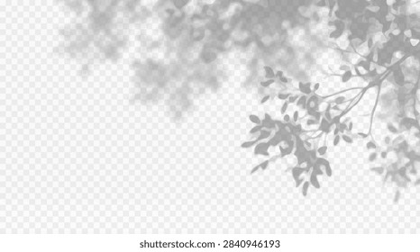 Easy to edit layered vector shadow. Tree leaves and branches on transparent checkerboard. Adjust tonal layer opacity to control shadow intensity and perceived softness.