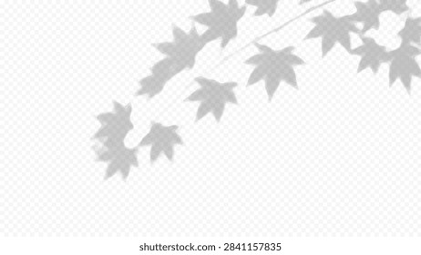 Easy to edit layered vector shadow. Maple leaves on transparent checkerboard. Adjust tonal layer opacity to control shadow intensity and perceived softness.