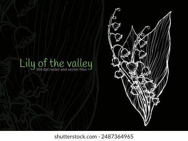 Easy to edit, ready to use lily of the valley. Hand drawn vector outline of this beautiful flower in dark green and white. Template for cards, banners or a beautiful elegant background. 