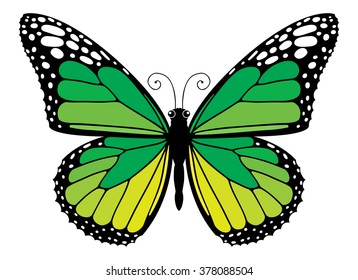 Easy to edit vector butterfly.
