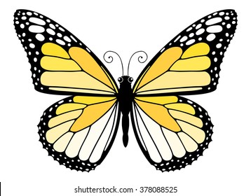 Easy to edit vector butterfly.