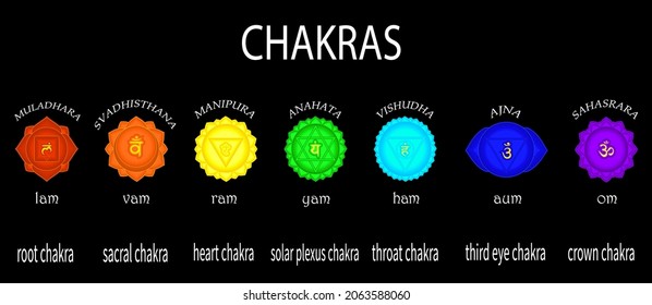 Chakras-Set: Muladhara, Swadhisthana, Manipura, Anahata, Vishuddha, ajna, sahasrara. Om Schild. Vektorgrafik
