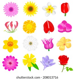 easy to edit vector illustration of colorful flower collection