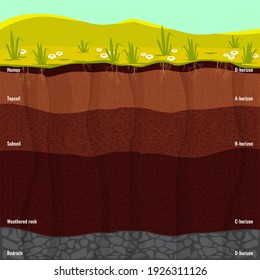 Easy to edit vector illustration of diagram for Layer of Soil