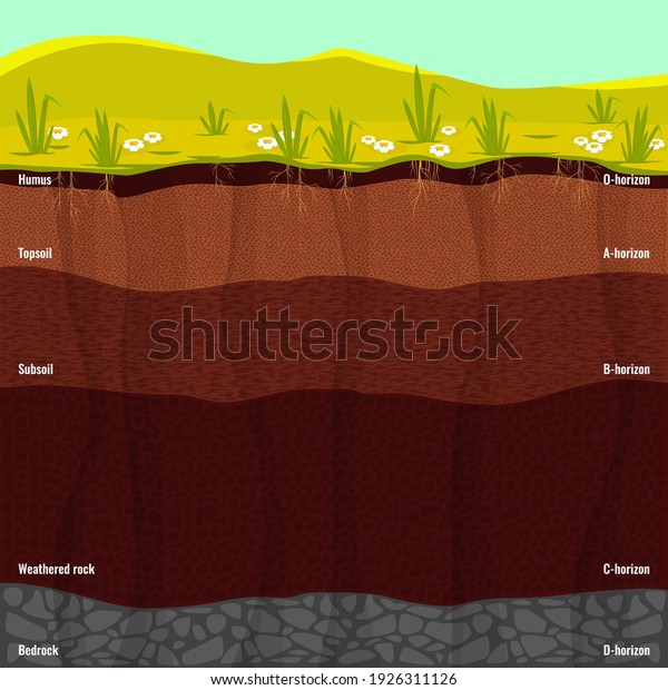 Easy to edit vector illustration of diagram for\
Layer of Soil