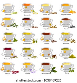 easy to edit vector illustration of different variety of herbal and medicinal Tea