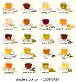 easy to edit vector illustration of different variety of herbal and medicinal Tea