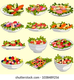 easy to edit vector illustration of different variety of fresh and healthy salad