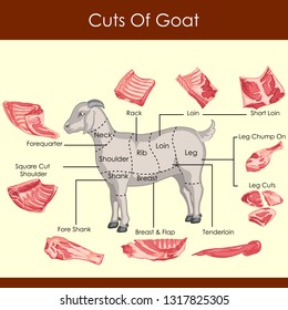 easy to edit vector illustration of different cuts of Goat