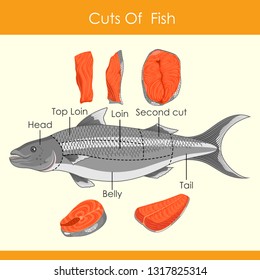 easy to edit vector illustration of different cuts of Fish