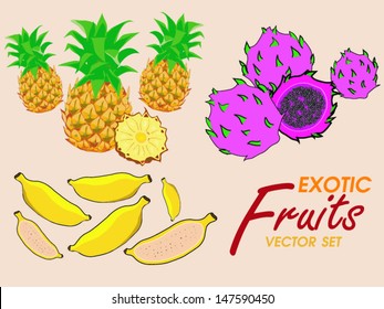 Easy to edit vector illustration of exotic fresh fruits with slice