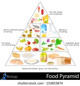 Food Pyramid Tracking Chart