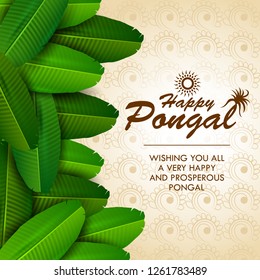 easy to edit vector illustration of Happy Pongal festival of Tamil Nadu India background