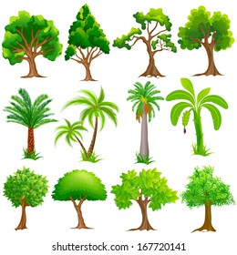 easy to edit vector illustration of Tree Collection