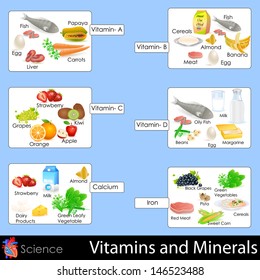 Us Rda Vitamins And Minerals Chart