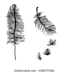 easy feather of a bird or an angel. graphic symbol. manual graphics. vector illustration.
