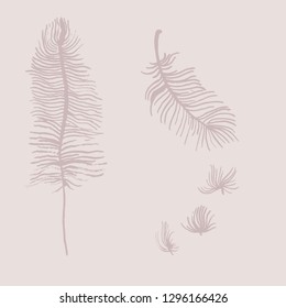 easy feather of a bird or an angel. graphic symbol. manual graphics. vector illustration.
