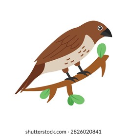 Easy to flat vector of brown munia bird on branch.