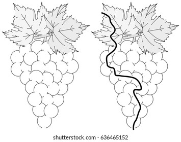 Easy grapes maze for younger kids with a solution in black and white