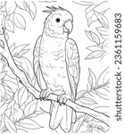easy parrot coloring page line art