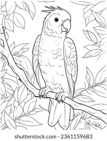 easy parrot coloring page line art