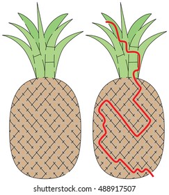 Easy pineapple maze for younger kids with a solution