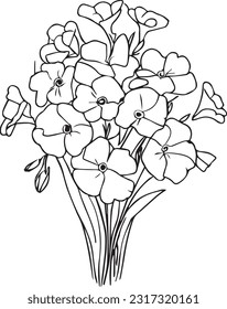 dibujo sencillo de flores de primarosa, dibujo de la línea de la primrosa, flor dibujada a mano de la página de color floral Denticulata ilustración vectorial del fondo blanco, dibujo del contorno de Primula Francisca, vector de flor simple