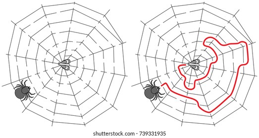 Easy spider maze for younger kids with a solution