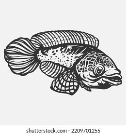 Easy to use isolated channa fish vector illustration with stunning details. best pet fish clip art. tropical country snakehead illustration