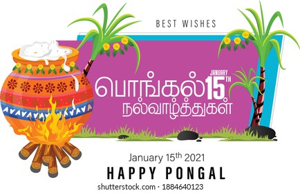 easy to use vector illustration of Happy Pongal festival of Tamil Nadu India background and Happy pongal translate Tamil text