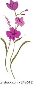 Easy-to-edit vector illustration of an orchid with purple tones