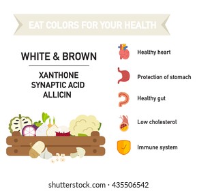 Eat Colors For Your Health-WHITE & BROWN FOOD,Eat A Rainbow Of Fruits And Vegetables,Health Benefit Eat A Rainbow,vector Illustration.