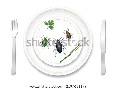 Eating bugs, insects, beetles. Noble fine porcelain crockery nicely prepared with three tasty bugs and healthy herbs. Delicious or disgusting meal. Vector illustration on white background. 
