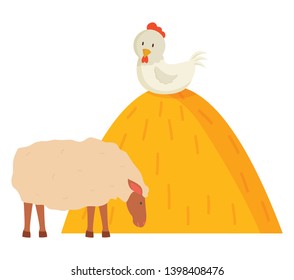 Eating goat and chicken sitting on hill from hay, farm animal character, side view of goat and fowl decoration on white, animal grazing, countryside vector