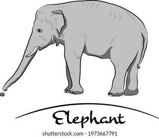 Eating gray elephant.  Cartoon style.