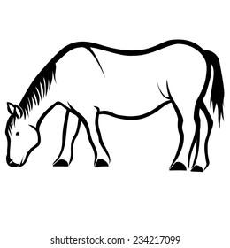 Eating horse
