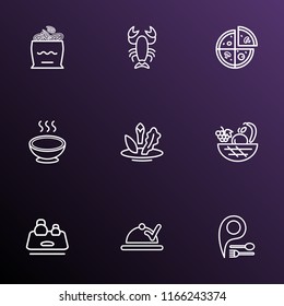 Eating icons line style set with vegan food, onion rolls, kitchen scales and other harvest elements. Isolated vector illustration eating icons.
