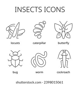 
eating insects vector art line design food new technology icons line art grasshopper locust beetle cockroach butterfly worm larva Asia China Thailand food