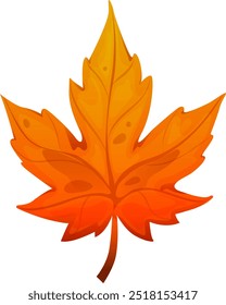 eautiful maple leaf on isolated white background. Leaf cartoon. Vector illustration.