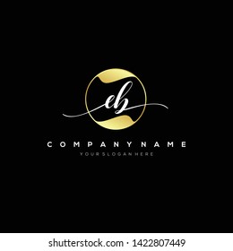 EB handwriting initial logo template vector.