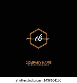 EB handwriting logo template vector