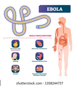 Ebola vector illustration. Labeled virus bacteria infection symptoms scheme. Anatomical infographic with isolated epidemic microorganism that cause death, illness, disease and dangerous viral outbreak