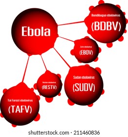 Ebola virus chart