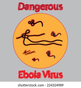 Ebola virus dangerous sign: vector