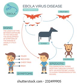 Ebola Virus Disease Infographics Stock Vector (Royalty Free) 232499905 ...