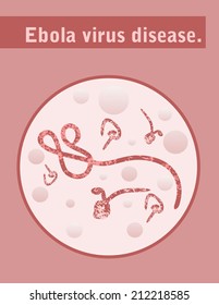 Ebola virus disease ,vector.