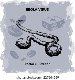 Ebola Virus, vector illustration