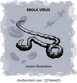 Ebola Virus, vector illustration