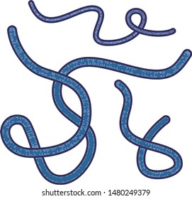 Ebola virus vector illustration clip art